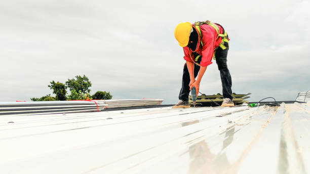 Best Roof Coating and Sealing  in Silverthorne, CO